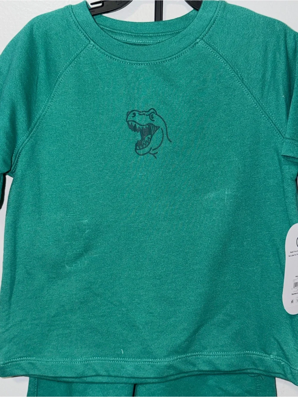 wonder nation Green Dinosaur Tee & Shorts Set